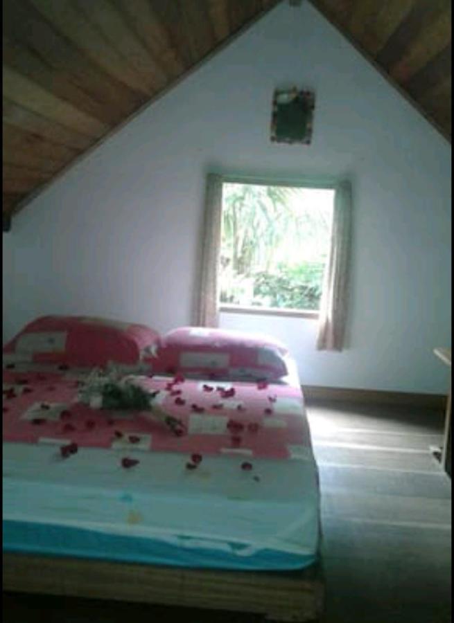 Chale Das Flores 特林达德 外观 照片